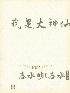 我是大神仙小说