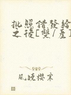 批照错发给情敌之后[双/产]