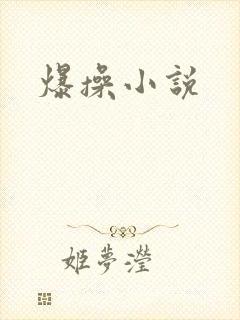 爆操小说