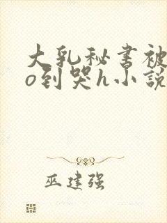 大乳秘书被cao到哭h小说