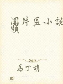 图片区小说区视频