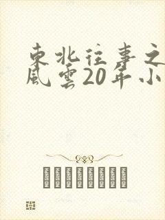 东北往事之黑道风云20年小说