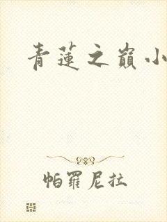 青莲之巅小说封面