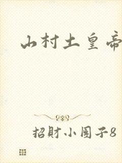 山村土皇帝封面