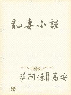 乱妻小说