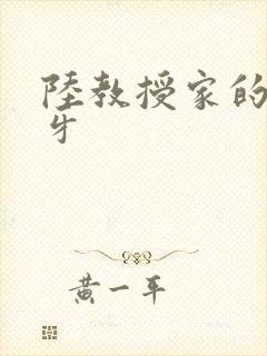 陆教授家的小月牙封面