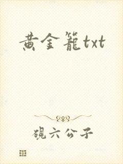 黄金笼txt