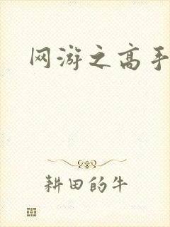 网游之高手寂寞封面