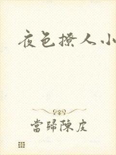 夜色撩人小说