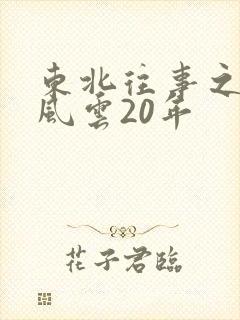 东北往事之黑道风云20年