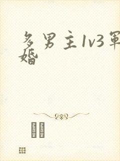 多男主1v3军婚