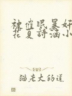 被催眠暴奸的校花夏诗涵小说