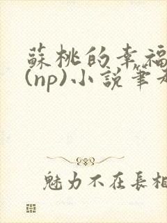 苏桃的幸福生活(np)小说笔趣阁沐沐