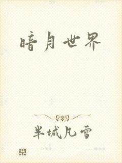 暗月世界
