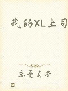 我的XL上司