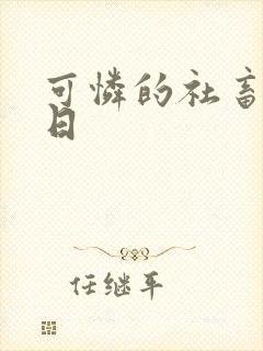 可怜的社畜东度日