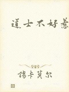 道士不好惹小说封面