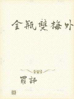 金瓶双梅外传封面