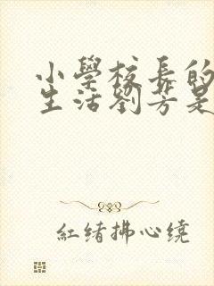 小学校长的幸福生活刘芳是谁封面