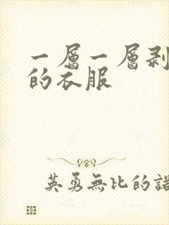 一层一层剥掉你的衣服