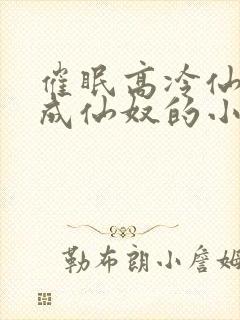 催眠高冷仙奴变成仙奴的小说