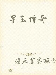 星王传奇