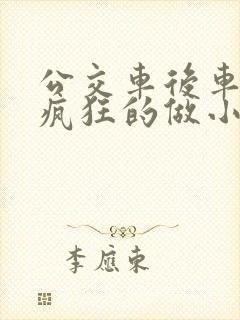 公交车后车座的疯狂的做小