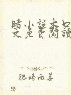 赌小说木口银全文免费阅读笔趣阁