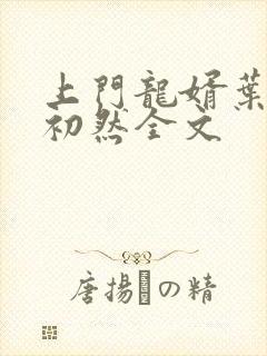 上门龙婿叶辰萧初然全文