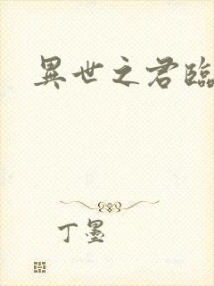 异世之君临天下封面