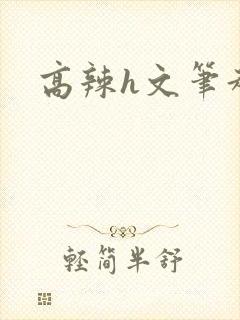 高辣h文笔趣阁