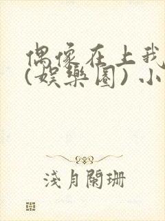 偶像在上我在下(娱乐圈) 小说免费阅读