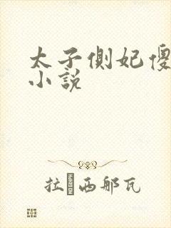 太子侧妃傻乎乎小说