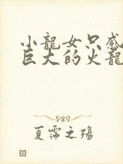 小龙女只感觉那巨大的火龙枪