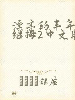 漂亮的丰年经的继拇2中文版封面