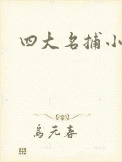 四大名捕小说