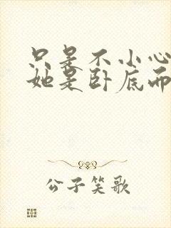 只是不小心发现她是卧底而已