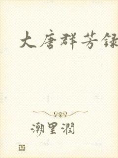 大唐群芳录封面