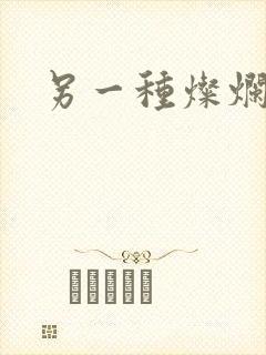 另一种灿烂生活