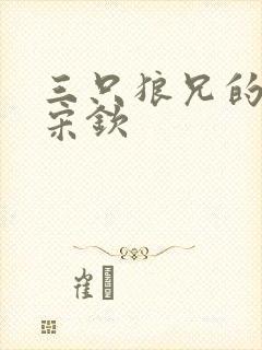 三只狼兄的宠妻宋钦