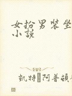 女扮男装坐江山小说