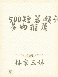 500短篇超污多肉推荐