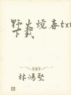 野火烧春txt下载