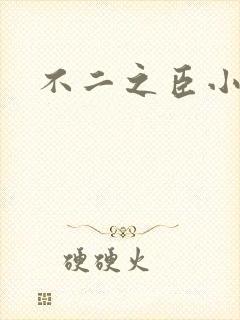 不二之臣小说