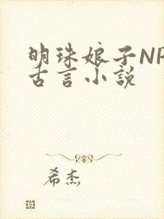 明珠娘子NPC古言小说