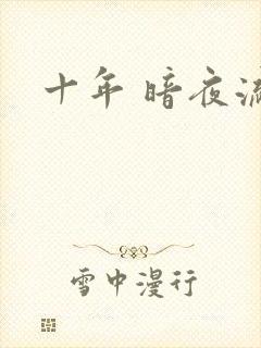 十年 暗夜流光
