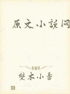 原文小说网封面