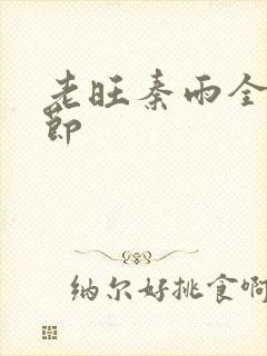 老旺秦雨全部章节