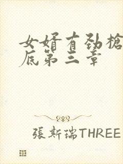 女婿有劲枪枪到底第三章封面