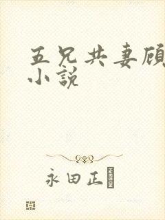 五兄共妻顾心儿小说